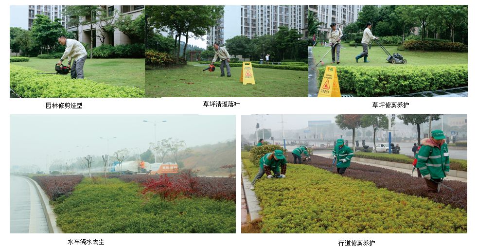 天津物業綠化服務